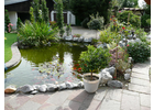 Eigentümer Bilder Gartengestaltung Cipolletta Ciro Ratingen