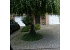 Eigentümer Bilder Hüfken Tilmann Ratingen
