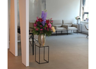 Bildergallerie Oralchirurgen Düsseldorf, Schoenebeck Claudia Dr.med.dent. Oralchirurgin Düsseldorf