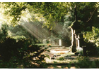 Bildergallerie Vishers Garten-und Landschaftsbau GmbH Düsseldorf