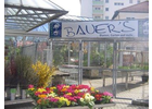 Bildergallerie Bauer' s Blumen, Garten und mehr ... e.K. Neumarkt i.d.OPf.