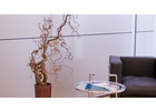 Bildergallerie AWP Wirtschaftstreuhand GmbH Steuerberatung Regensburg
