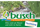 Eigentümer Bilder Busch Klaus Würzburg