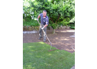 Bildergallerie Dienst Benno Gartenservice Würzburg
