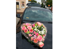 Eigentümer Bilder Blumen Blüten-Stil Kümmersbruck