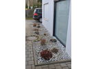 Eigentümer Bilder Berger Josef Gartenbau Lappersdorf