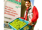 Eigentümer Bilder Krug A. u. A. OHG Obst- und Gemüsehandel Nürnberg