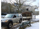 Eigentümer Bilder Dienst Benno Gartenservice Würzburg