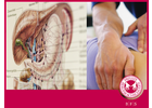 Bildergallerie Private Berufsfachschulen für Physiotherapie und Massage Erlangen
