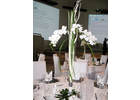 Eigentümer Bilder Blumen Kuhn Floraldesign GmbH Nürnberg