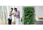 Eigentümer Bilder indoor green Raumbegrünung Amberg