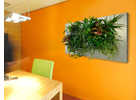Eigentümer Bilder indoor green Raumbegrünung Amberg