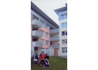 Eigentümer Bilder BBS + Dach GmbH Bamberg