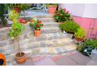 Bildergallerie Feri Garten Würzburg