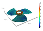 Eigentümer Bilder 3 D-Shape GmbH Erlangen