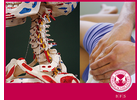 Bildergallerie Private Berufsfachschulen für Physiotherapie und Massage Erlangen