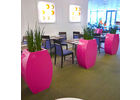 Eigentümer Bilder indoor green Raumbegrünung Amberg