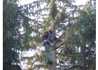 Eigentümer Bilder Dienst Benno Gartenservice Würzburg