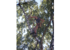 Eigentümer Bilder Hirsch Jörn Gartenbau Kammerstein