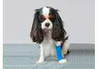 Eigentümer Bilder Trauwitz Karen von Dr.med.vet. Neumarkt i d OPf