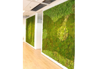 Eigentümer Bilder indoor green Raumbegrünung Amberg