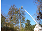 Eigentümer Bilder Dienst Benno Gartenservice Würzburg