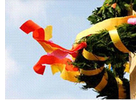 Bildergallerie Dolp & Partner GbR Werbeagentur Lappersdorf