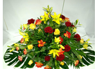 Bildergallerie Blumen Sunshine Floristik u. Bärenland Blumengeschäft Zirndorf