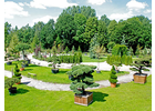 Bildergallerie Kohout's Garten- und Landschaftsbau GmbH Elstra