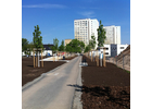 Eigentümer Bilder Landschaftsbau Erfurt Simonsen GmbH & Co. KG Erfurt