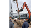 Eigentümer Bilder Landschaftsbau Erfurt Simonsen GmbH & Co. KG Erfurt