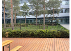 Eigentümer Bilder Landschaftsbau Erfurt Simonsen GmbH & Co. KG Erfurt
