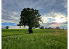 Eigentümer Bilder Altena Oliver Bad Tölz