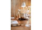 Eigentümer Bilder Landhotel Zum Schwanen Gastro GmbH Osthofen