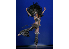Eigentümer Bilder Goerigk Sonja Tanzstudio Fürth