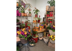 Eigentümer Bilder Blumen schöner schenken Nürnberg