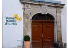 Bildergallerie Knoche G. BlumenHdl. Waurick Zittau