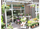 Bildergallerie Blumenhaus Ernst Müller Blumengeschäft Krefeld