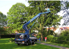 Eigentümer Bilder Garten Green UG (haftungsbeschränkt) & Co. KG Cham