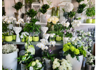 Eigentümer Bilder Hautmann-Blumen Inh. Uschi Schmitz Nürnberg