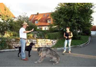 Bildergallerie Bräunlein Iris und Peter Petris mobile Hundeschule Langenfeld