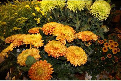 Kundenfoto 4 Blumen Floristik für jeden Anlass