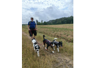 Eigentümer Bilder Wuff-Ontour – Hundetraining & Gassi-Service Coburg