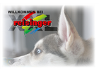 Eigentümer Bilder Drucktechnik Reisinger GmbH Nittenau