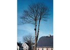 Bildergallerie Tobias Bach u. Stefan Bach GbR Drebach