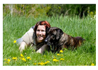 Bildergallerie George Romy Hundeschule Radeberg