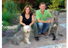 Eigentümer Bilder Bräunlein Iris und Peter Petris mobile Hundeschule Langenfeld