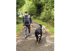Eigentümer Bilder Wuff-Ontour – Hundetraining & Gassi-Service Coburg