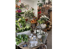Eigentümer Bilder Blumen schöner schenken Nürnberg