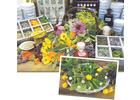 Bildergallerie Naturschule Dietz Sulzthal